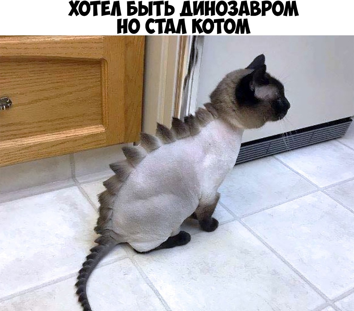    :D - 12  2019  19:24