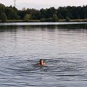 ���� �����, ������ ��������, 41 ��� - ��������� 2 ��� 2019 � ������ ���� ����������