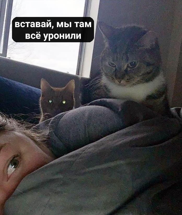 .  . . - 3