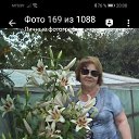   ,  , , 65  -  3  2020   