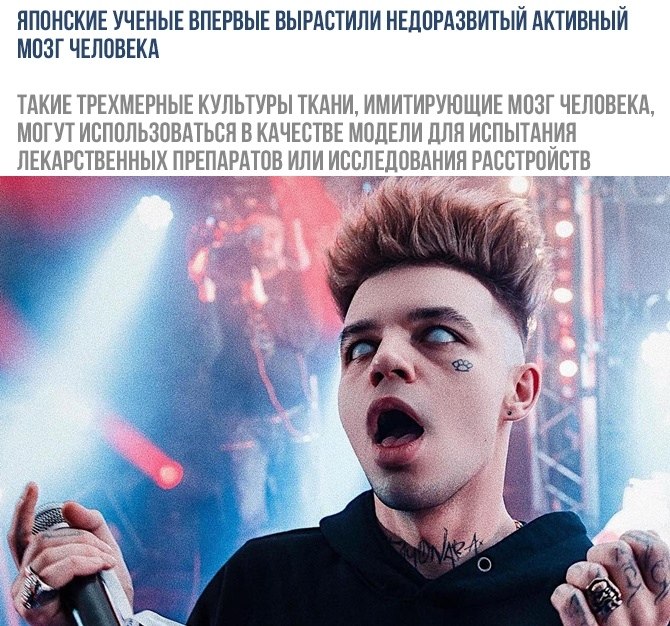    - 6  2019  03:56