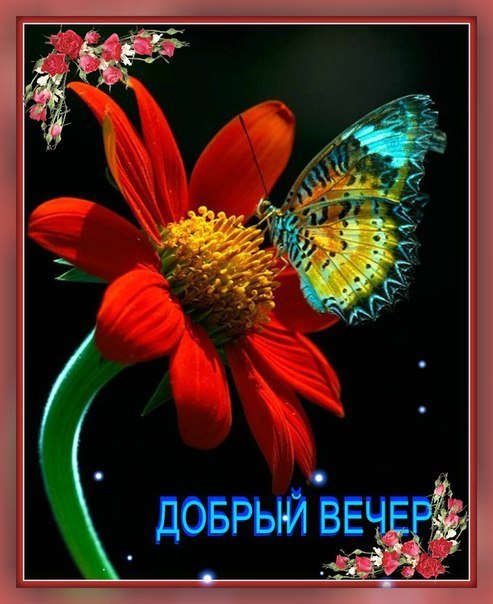   ,    . - 15  2019  19:42 - 5