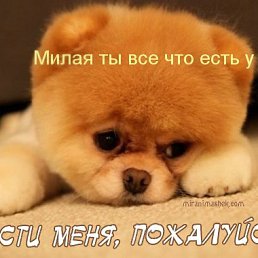 ���� ������, ������ - ��������� 20 ������ 2019