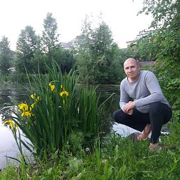 ���������, ����������, 45 ���