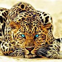 ���� ���, �����������, 40 ��� - ��������� 19 ��� 2019