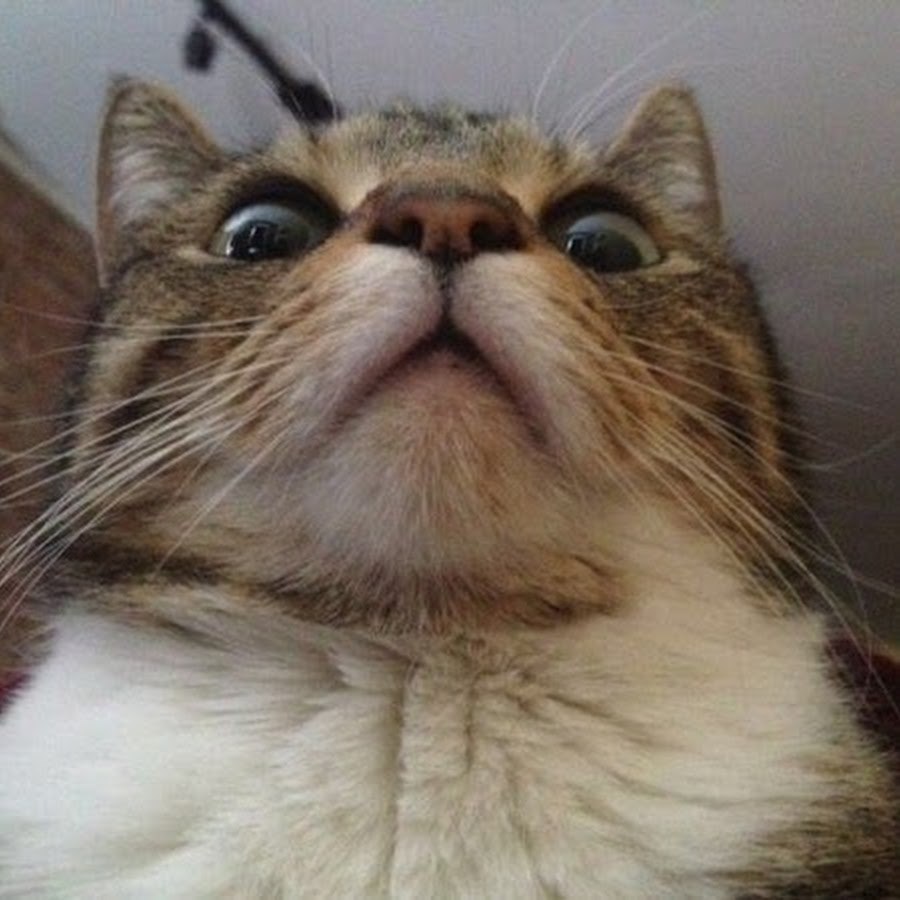 - ,      .. -  ?!.. - 5
