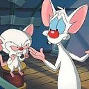 ���� �������, �����������, 42 ���� - ��������� 9 ��� 2019 � ������ ���� ����������