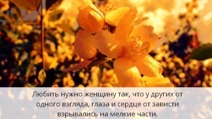     - 14  2019  19:00