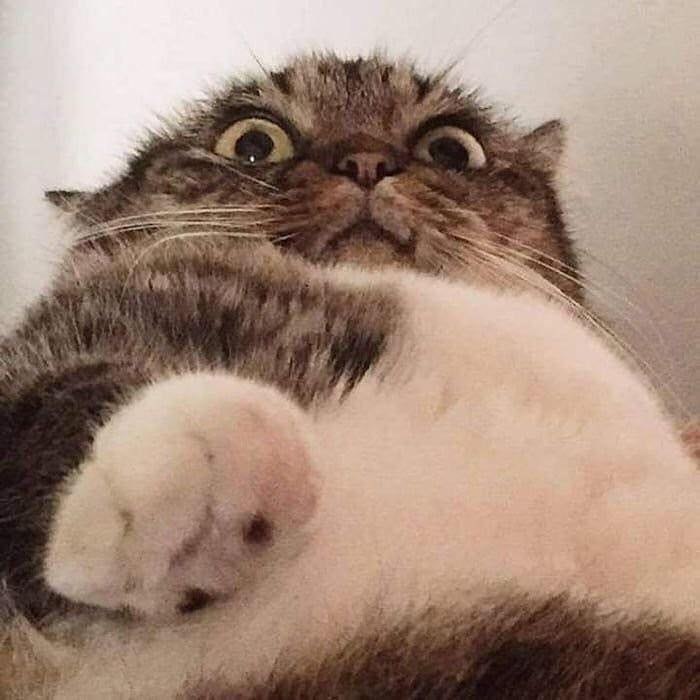      .      .