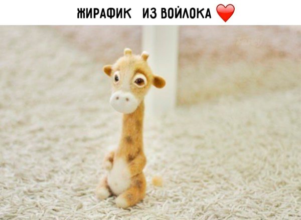 ������ ������� - 14 ������ 2019 � 19:10