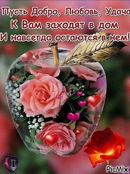   - 12  2019  14:37