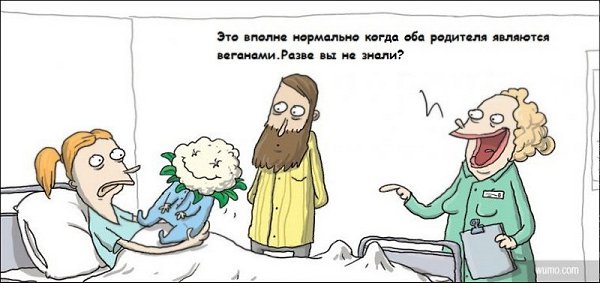 ВЕГЕТАРИАНСТВО - ПСИХИЧЕСКОЕ ОТКЛОНЕНИЕ.Есть 2 причины, которые ставят адепты травы во главу угла:1. ...