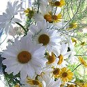 ���� Lilita, �������, 56 ��� - ��������� 15 ���� 2019 � ������ ���� ����������