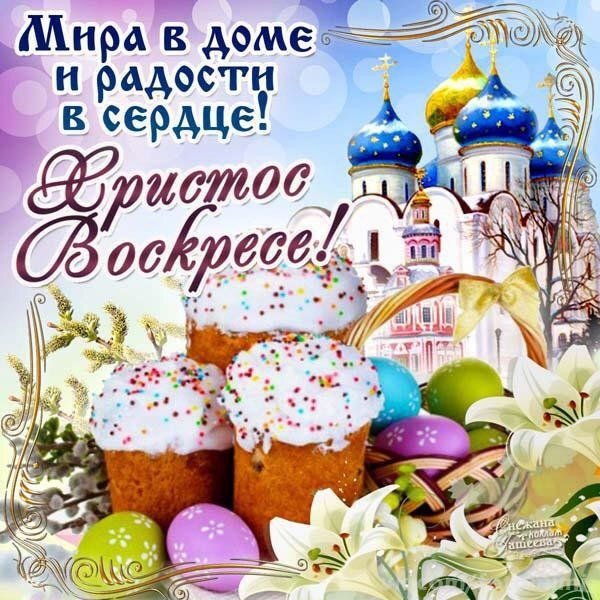   - 29  2019  03:44