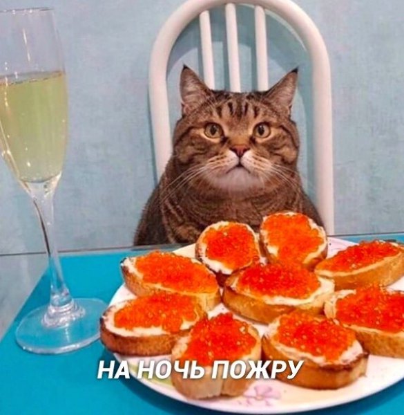    - 3