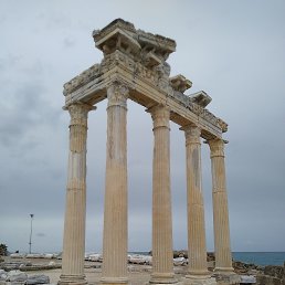 ������, ��������, 49 ���