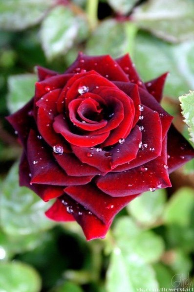   ,    . - 31  2019  21:02