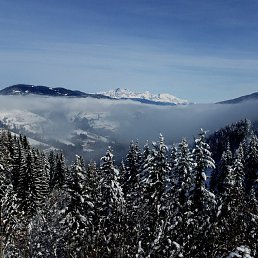 Ssssssss, ������-��-����, 42 ����