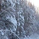 ���� �����, ������, 62 ���� - ��������� 27 ������� 2019 � ������ ������ ��������