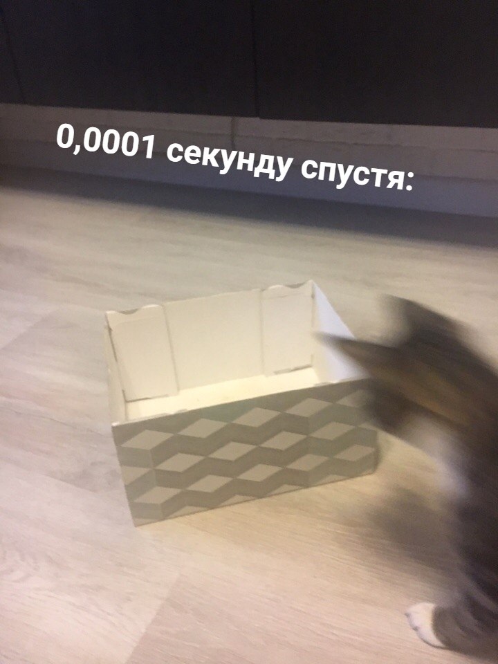    -   -    - 2