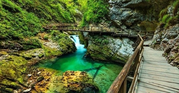  Vintgar Gorge, o. |   - 3