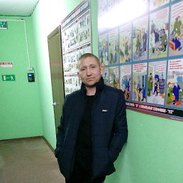 ����, ��������, 41 ���