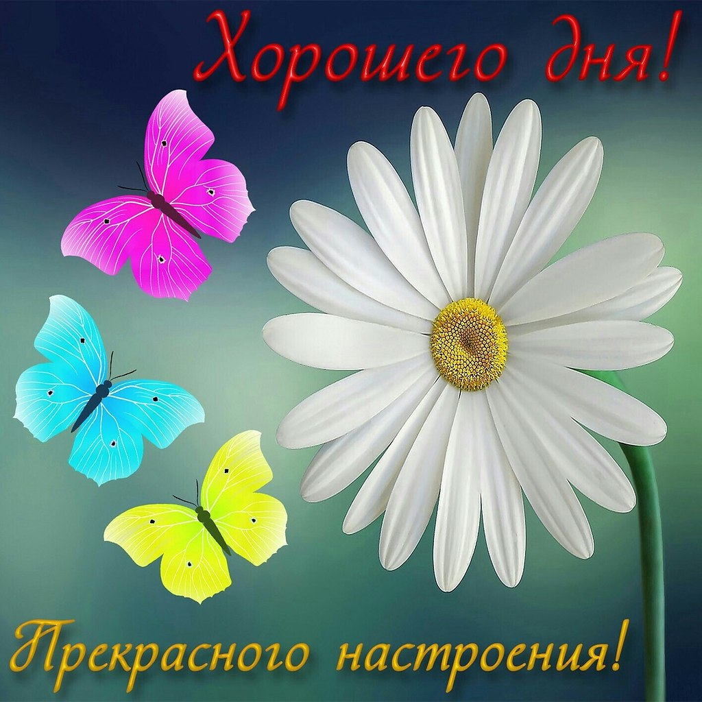   ,    . - 31  2019  18:42