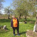 ���� ���������, ������ - ��������� 3 ��� 2019 � ������ ���� ����������