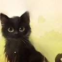  Saturn,  -  21  2019    