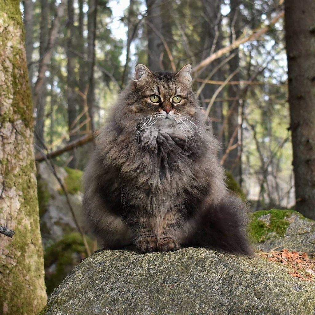  :3