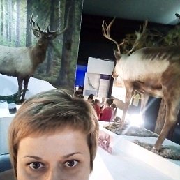 ���� �������, ����, 44 ���� - ��������� 5 ������ 2019