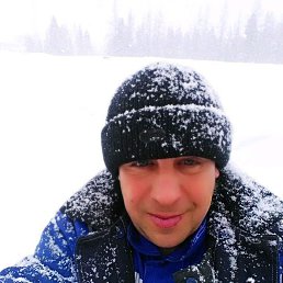 ����, ������, 41 ���