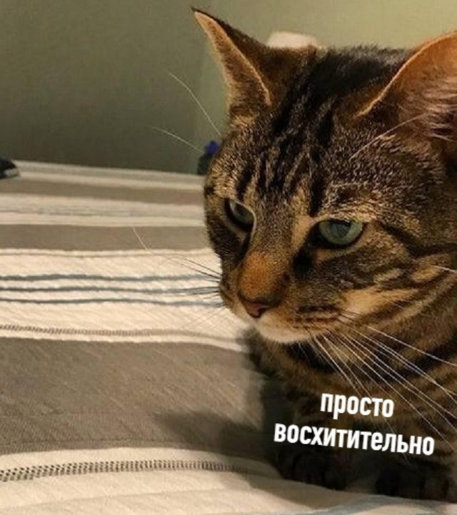  :    - 2