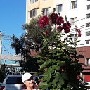 ���� �����, �����������, 76 ��� - ��������� 15 ���� 2019 � ������ ���� ����������