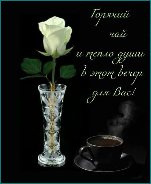  ))) - 19  2019  21:51