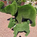  , , 50  -  1  2019   1 2019