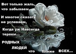 Виктория - 3 мая 2019 в 21:33