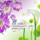 ���� ������, ������������ - ��������� 27 ���� 2019 � ������ ���������� �������