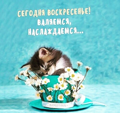 ***Victoria Viktorovna*** - 3  2019  17:22