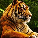 ���� ����, �������, 46 ��� - ��������� 25 ���� 2019 � ������ ���� ����������