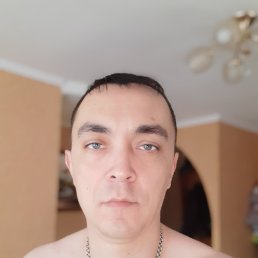 �����, ���������, 40 ���