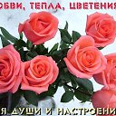 ���� ���������, �����, 69 ��� - ��������� 9 ������ 2019 � ������ ���� ����������