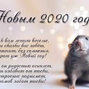 ���� ��������, �����������, 55 ��� - ��������� 1 ������ 2020 � ������ ������ ��������