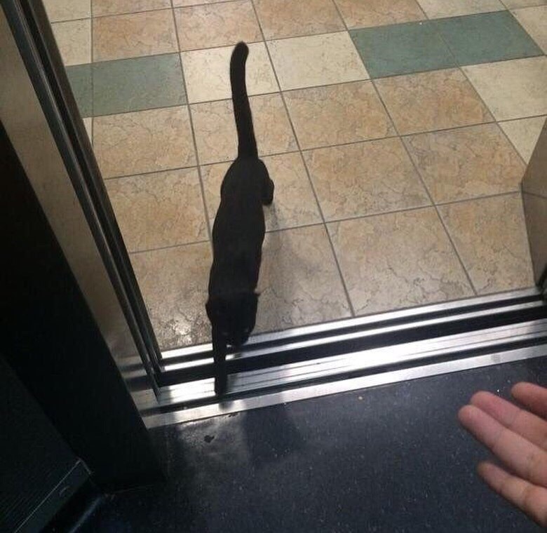 !       .    -    ...