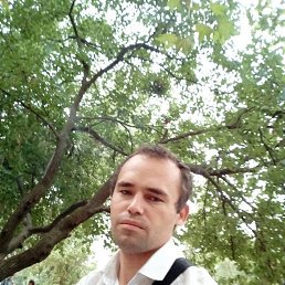 �����, ��������, 40 ���