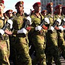  , -, 64  -  6  2019   -