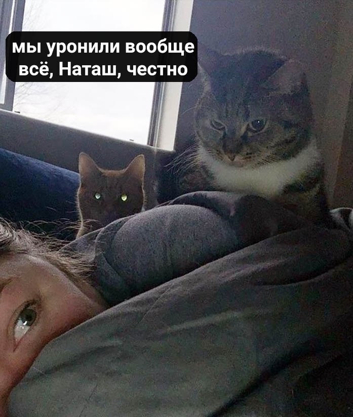 .  . . - 4