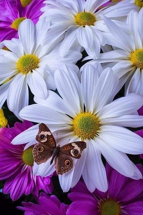   ,    . - 27  2019  09:42 - 3