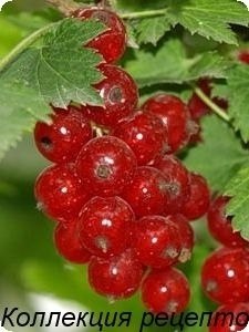   - 15  2019  18:28 - 6