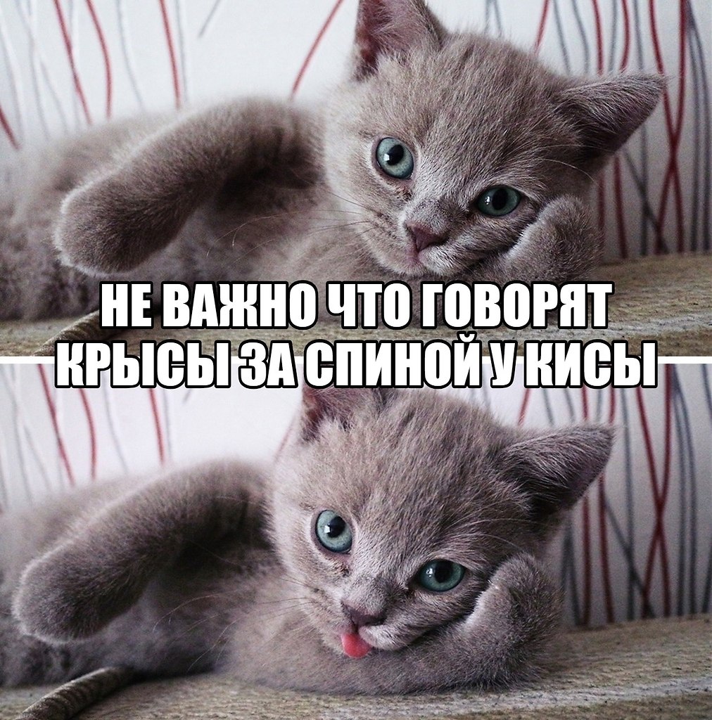   - 28  2019  00:33